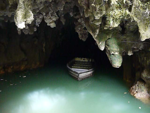 Boat Trip Through the Glowworm Caves, New Zealand