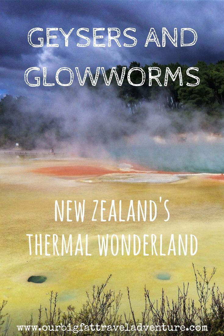 geysers and glowworms - new zealand's thermal wonderland pinterest pin