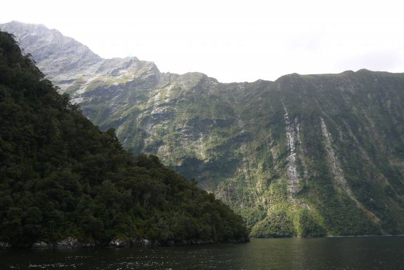 Hundreds of metres of Milford Sound
