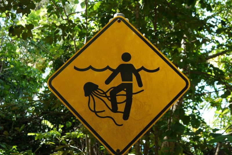 Jellyfish Warning in Australia