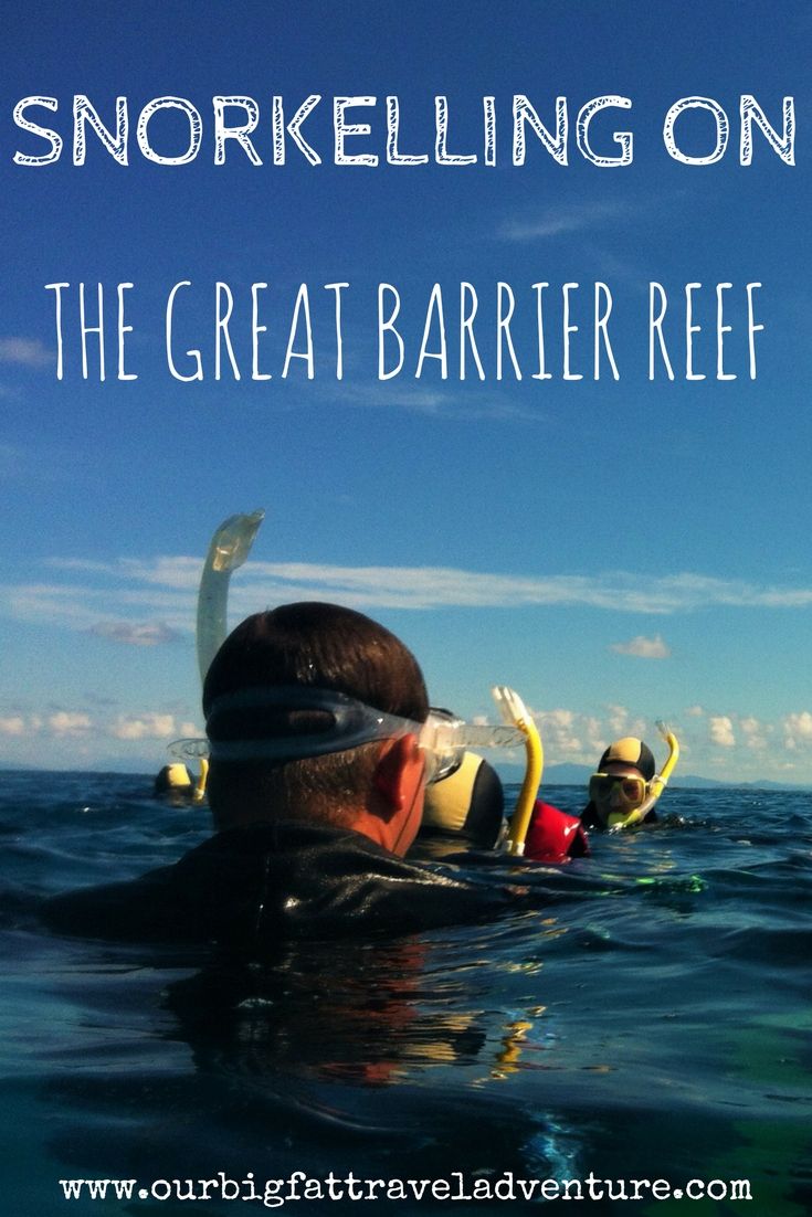 snorkelling on the great barrier reef