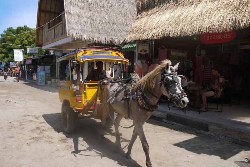 Horse and Cart on Gili Trawangan, Indonesia