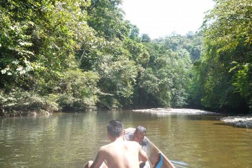 Trip on a Longboat Down the Batang Ai River