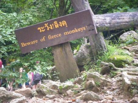 Beware of the Monkey Sign at Erawan National Park