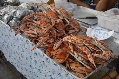 Crabs at Bophut market