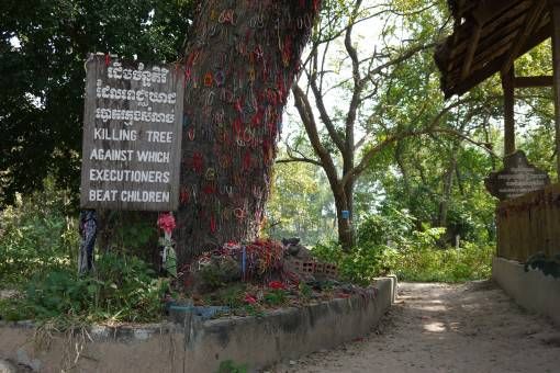The Killing Tree, Cambodia