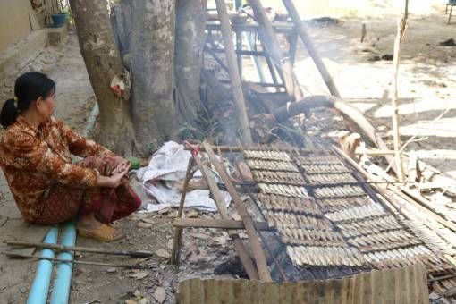 Baking Fish in Battambang, Cambodia
