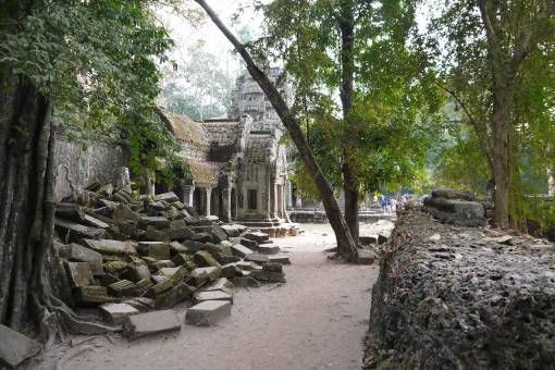 Trees and Ruins at Ta Prohm Temple