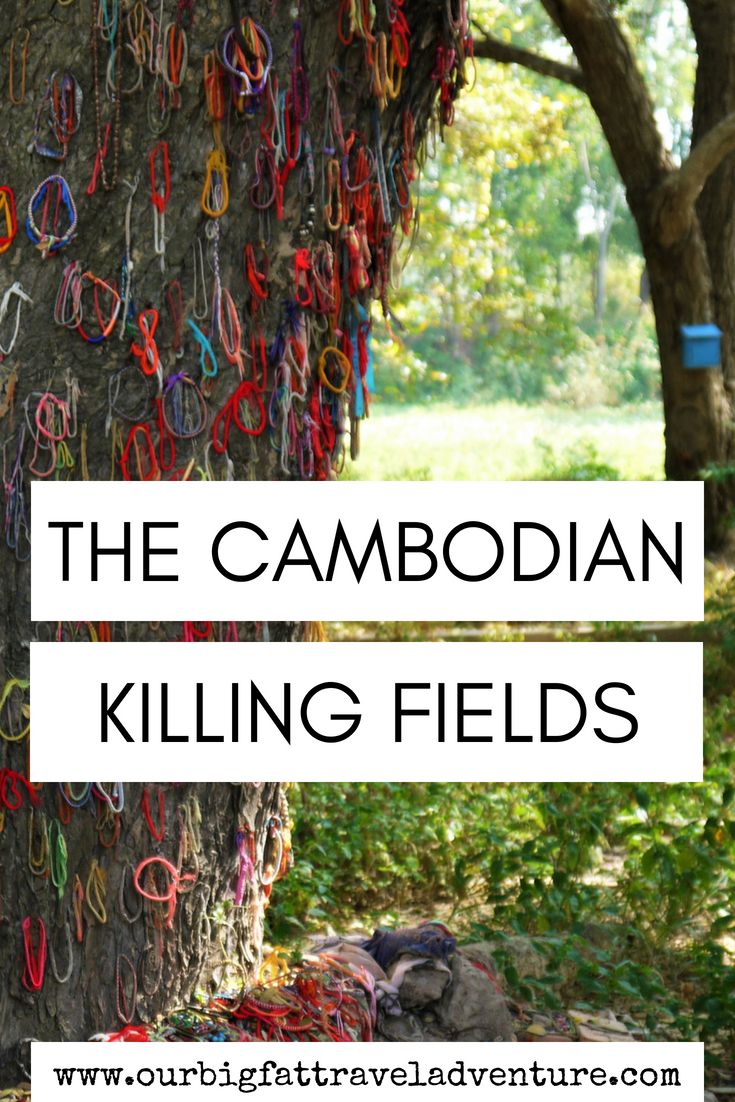 the cambodian killing fields pinterest pin