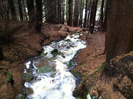 Waterfall in the woods in Glencoe
