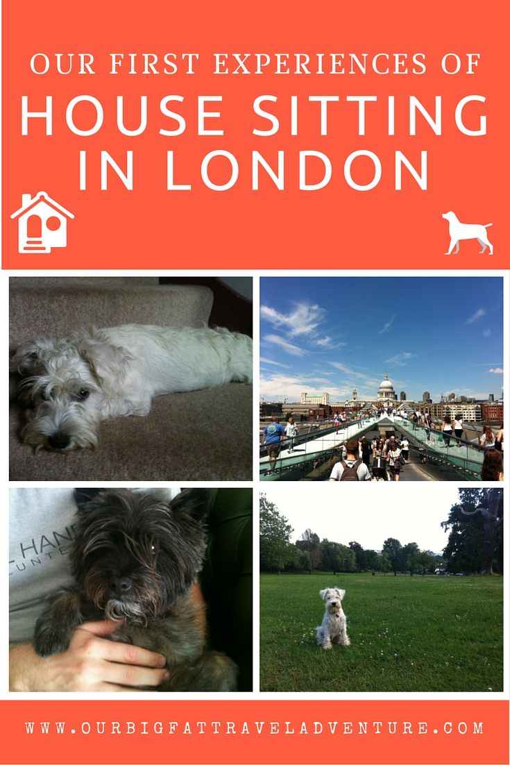 Our first expereinces of house sitting in London, Pinterest