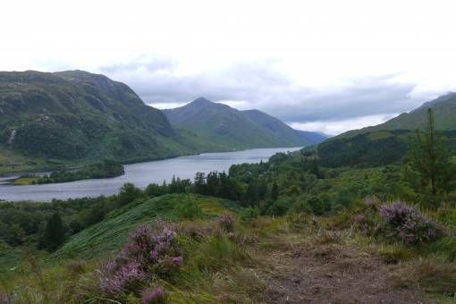 Scottish Highland Views