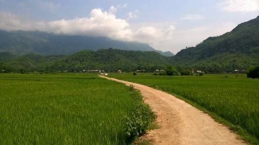 The lush green rice fields of Mai Chau