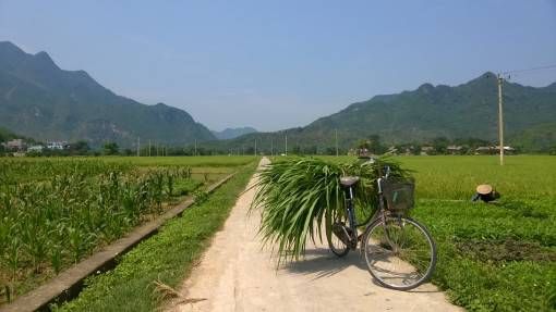 Bicycle in Mai Chau Valley