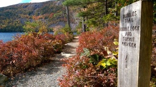 Don't miss the signs at Acadia National Park