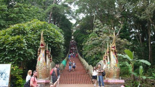 The steps leading up to Doi Suthep Temple in Chiang Mai