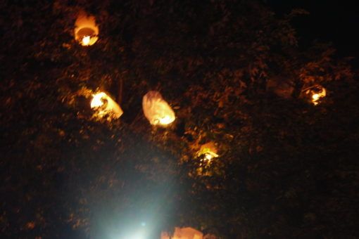 Lanterns stuck in trees at Yi Peng Festival 2016
