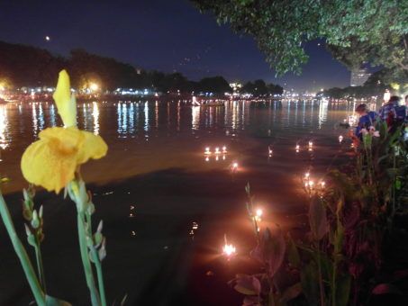 Krathongs floating on the Mae Ping River, Chiang Mai, Thailand