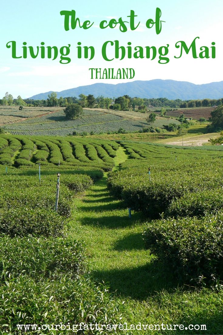 the cost of living in Chiang Mai Pinterest Poster