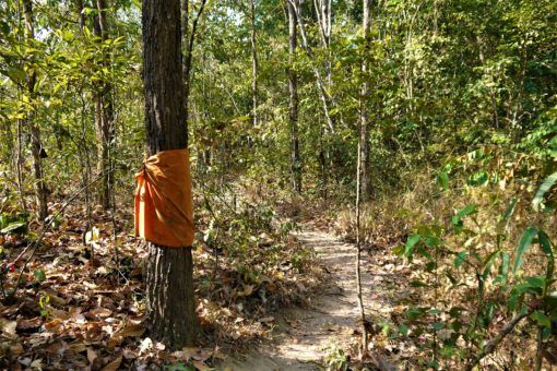 Hiking the Monk's Trail, Chiang Mai