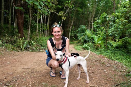 Amy walking a dog from the Koh Lanta animal sanctuary