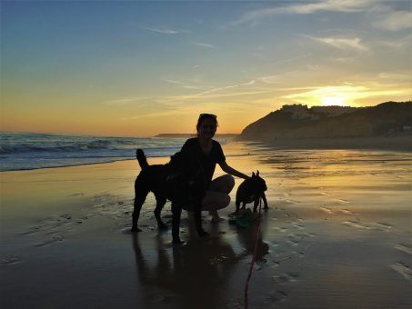 Amy mersul pe jos câinii pe plaja Salema pe Algarve, Portugalia