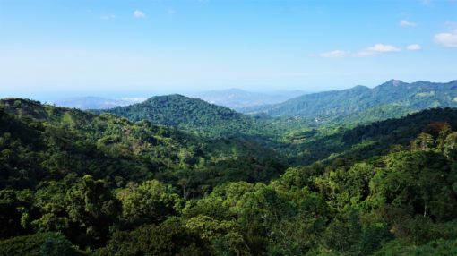 The view over the Sierra Nevada de Santa Marta from Casa Elemento