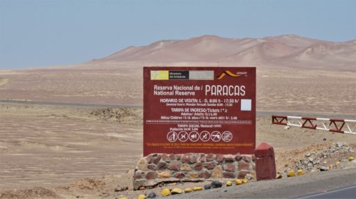 Paracas National Reserve Tour, Peru