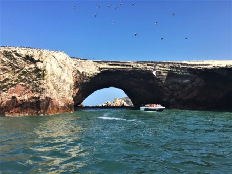 Natural rock arch surrounded by birds and sea lions at the Ballestas Islands, Peru