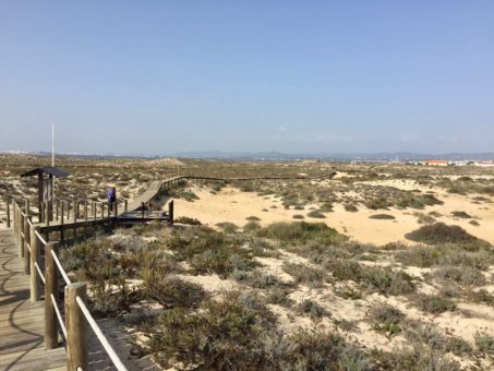 Wooden walkway over the sand on an island in the Ria do Formosa, Algarve