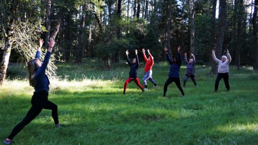 Yoga in the woods in Scotland