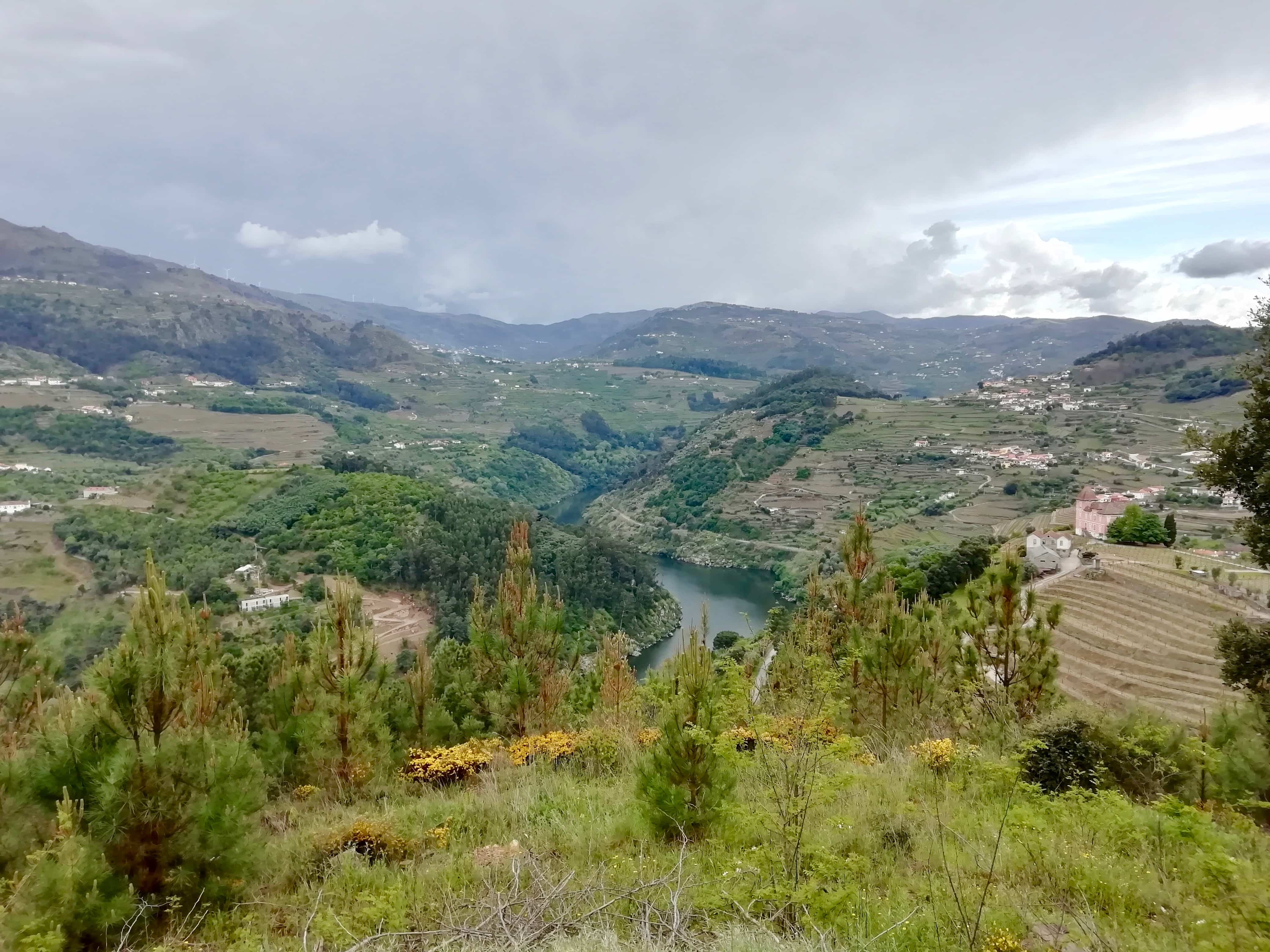 View of fields and the river in the Douro Valley in Portugal
