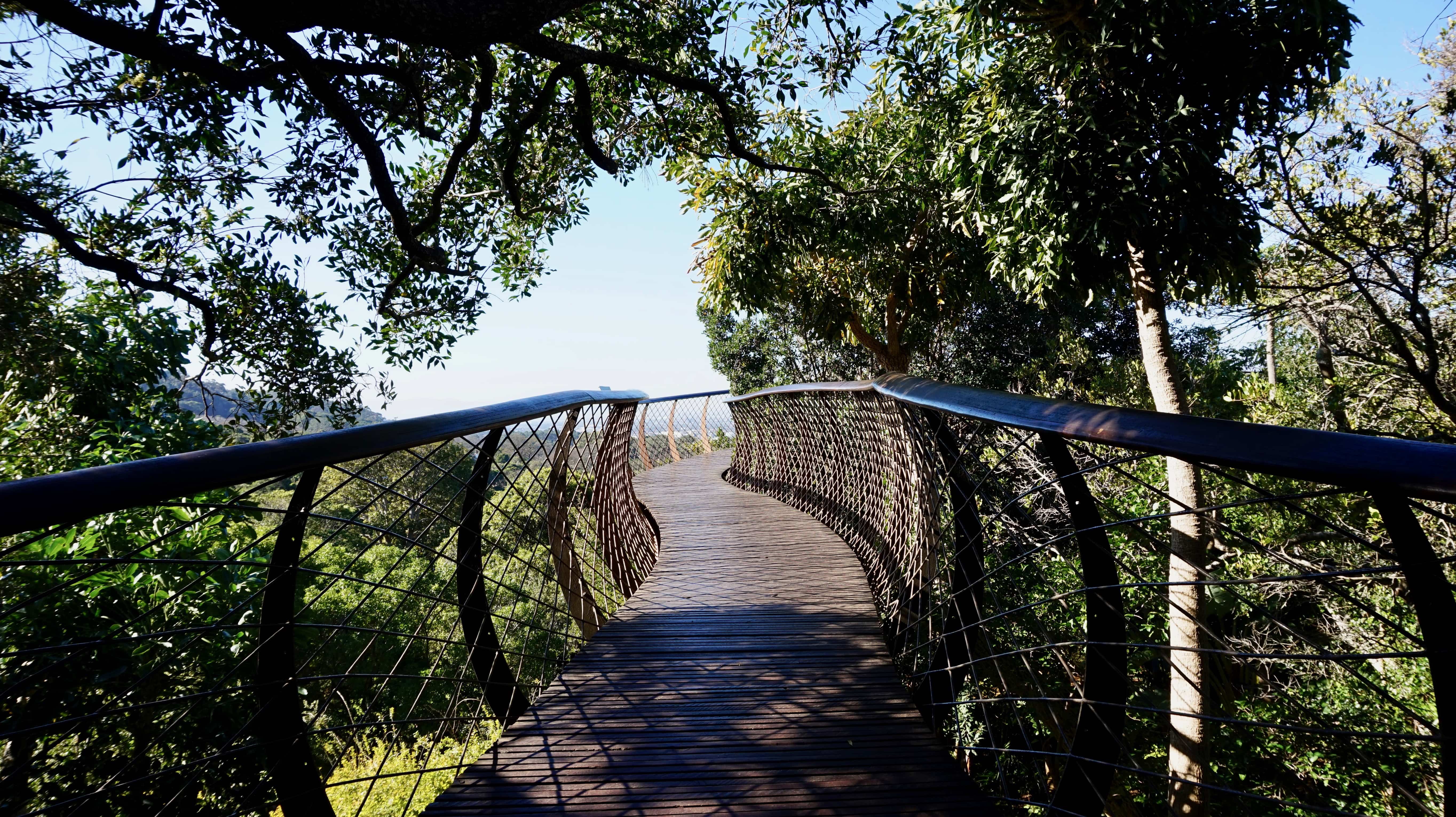 Centenary Tree Canopy Walkway at Kirstenbosch Botanical Gardens, South Africa