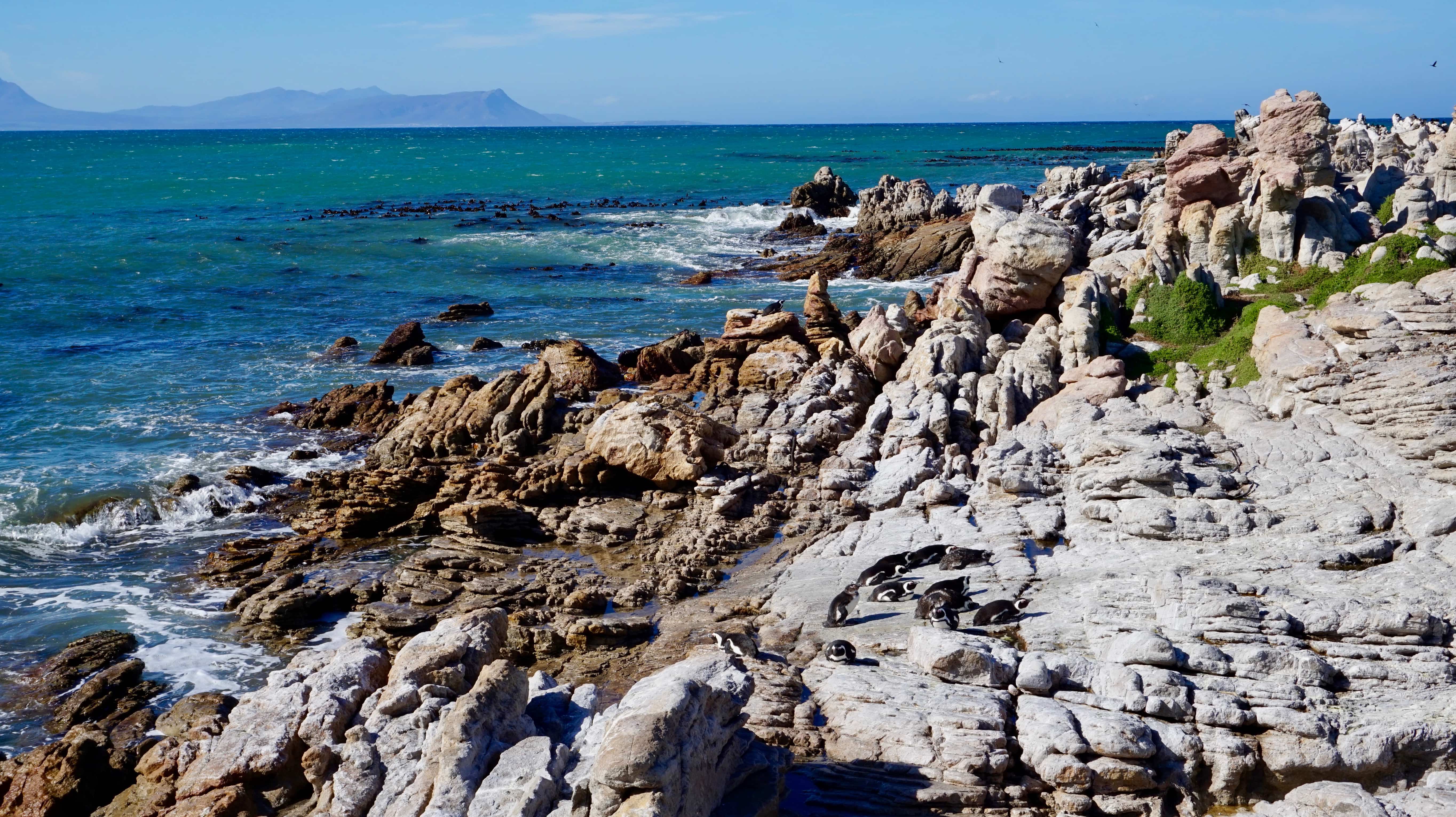 Betty's Bay, first stop on our Garden Route road trip itinerary