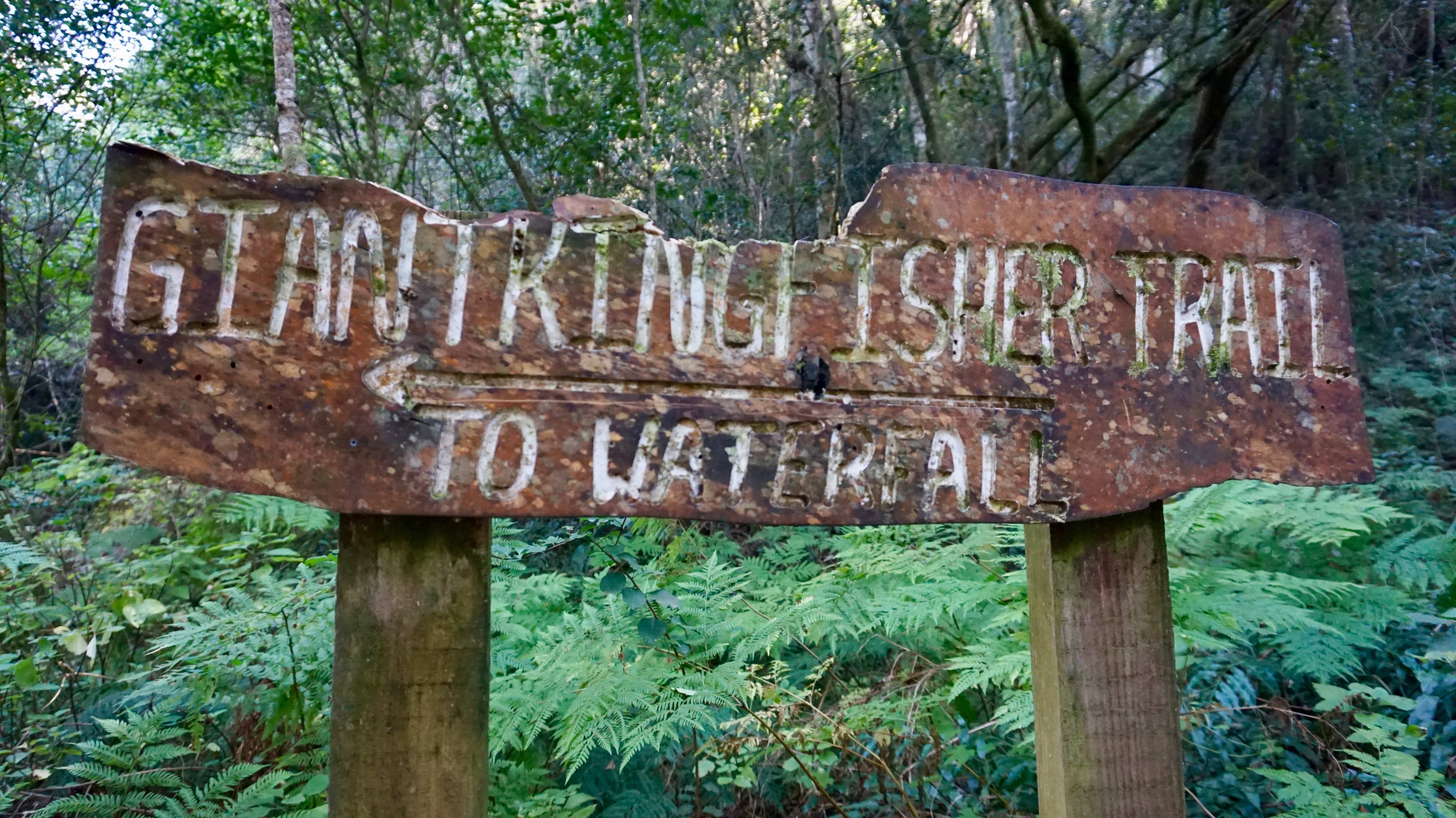 Giant Kingfisher Trail sign at Wilderness National Park, South Africa