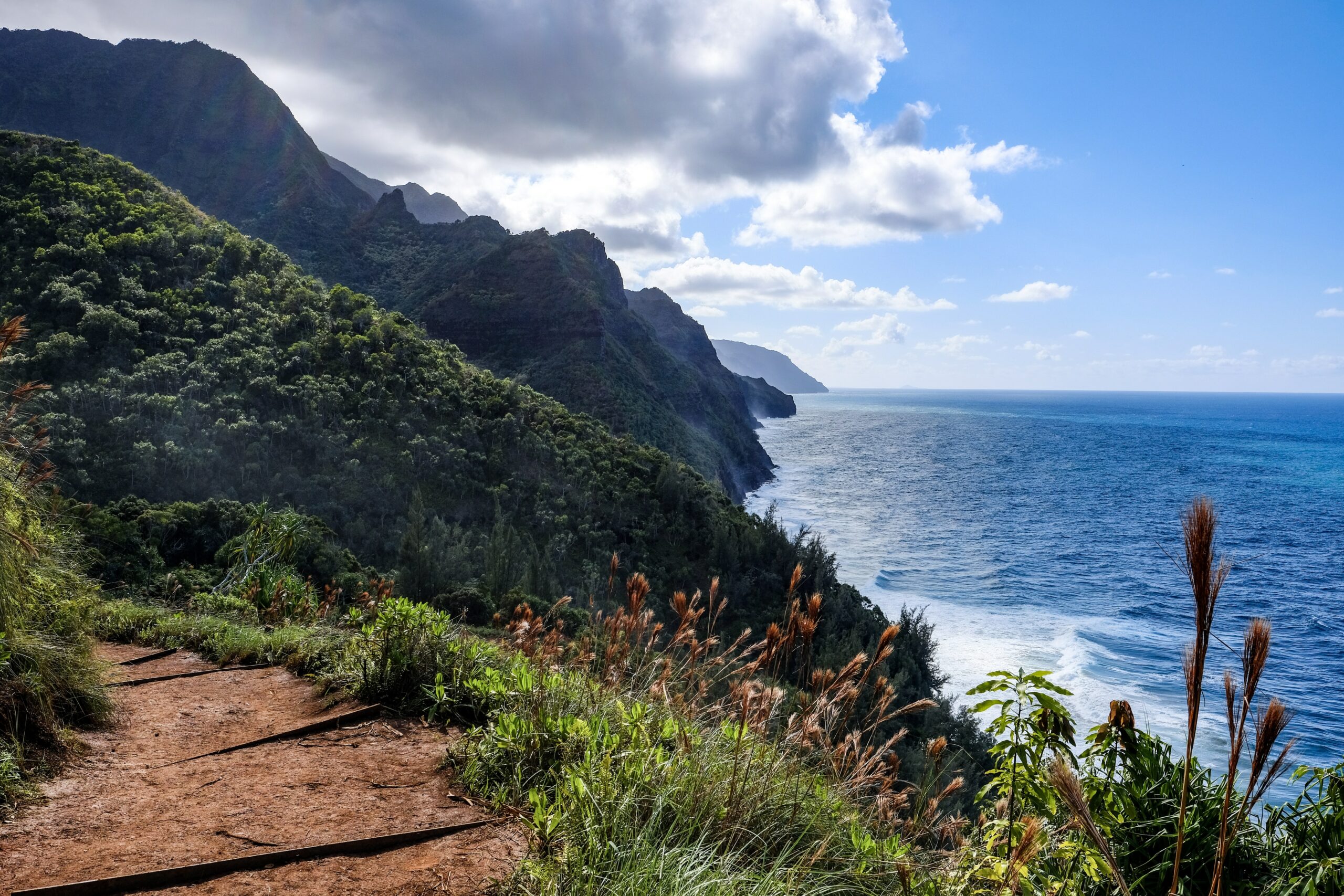 Walking path on the coast of Kauai, Hawaii