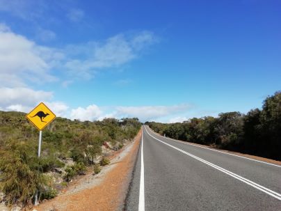 Kangaroo crossing road sign in Western Australia